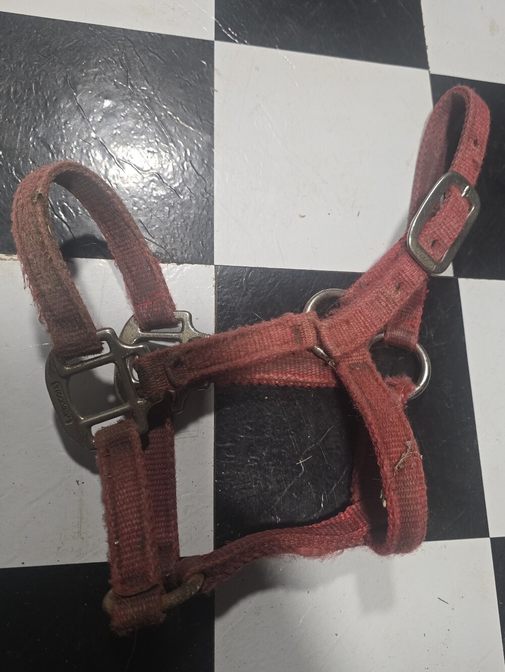 Red Horse Halter